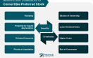 Convertible Preferred Stock