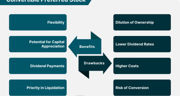 Convertible Preferred Stock
